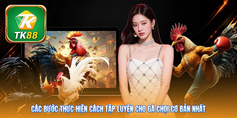 Cách Tập Luyện Cho Gà Chọi Tk88 | 7 Bài - Tăng Thể Lực Các bước thực hiện cách tập luyện cho gà chọi cơ bản nhất